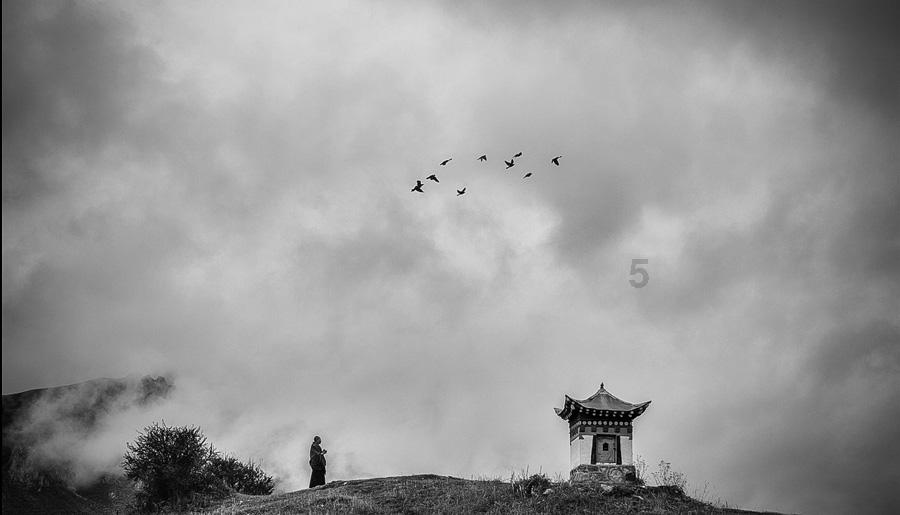 雷探长探秘叙利亚,当地男人可以娶好几个老婆,但代价有点高-最新资讯和社区讨论平台